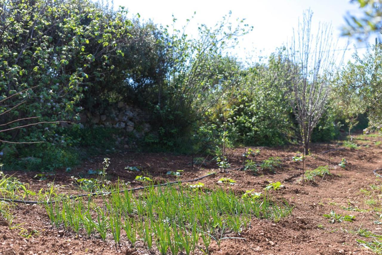 Eden'S Garden Skouloufia Villa Kültér fotó